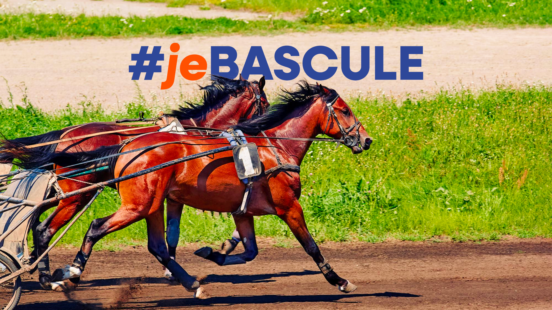 La Société du Trotteur Français, organisateur entre autres du Prix d'Amérique à l'Hippodrome de Paris-Vincennes, rejoint les donneurs d’ordre qui se mobilisent pour accélérer la bascule des mobilités, et notamment du transport à la demande, vers le zéro émission.